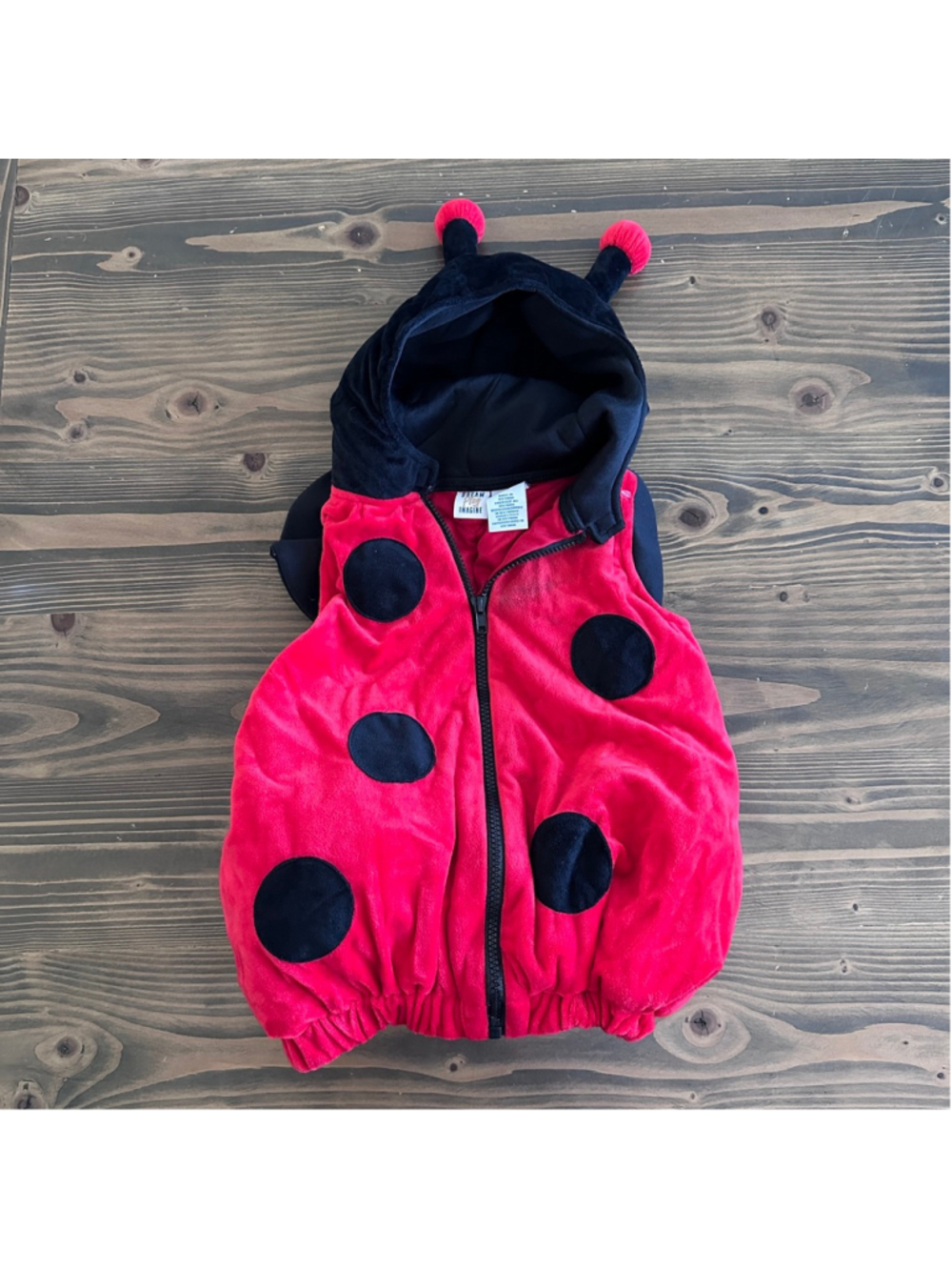 Baby Ladybug Costume 18M Halloween Red Black Hooded Outfit